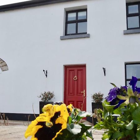 Cartron House Bed & Breakfast Ballinakill  Екстериор снимка