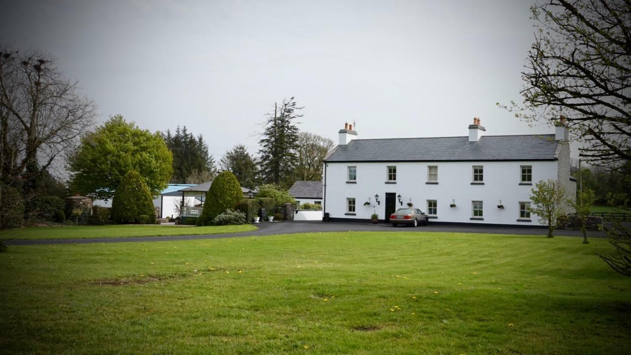 Cartron House Bed & Breakfast Ballinakill  Екстериор снимка