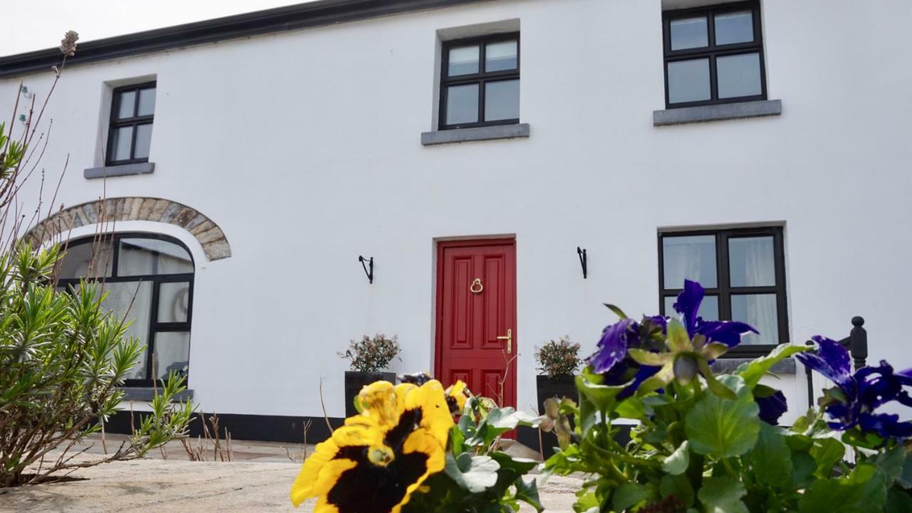 Cartron House Bed & Breakfast Ballinakill  Екстериор снимка