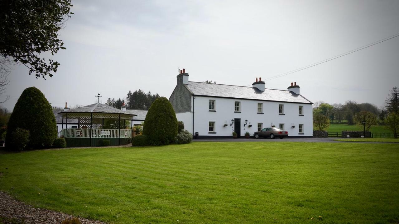 Cartron House Bed & Breakfast Ballinakill  Екстериор снимка