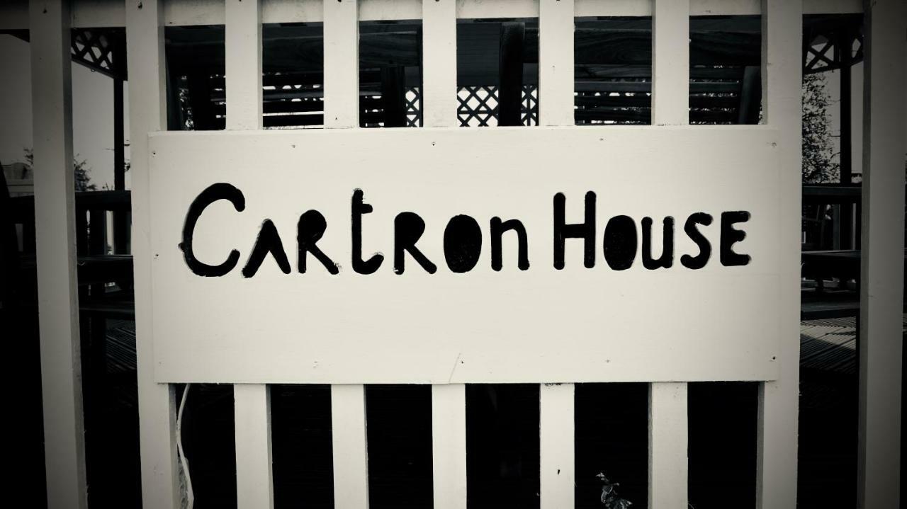 Cartron House Bed & Breakfast Ballinakill  Екстериор снимка