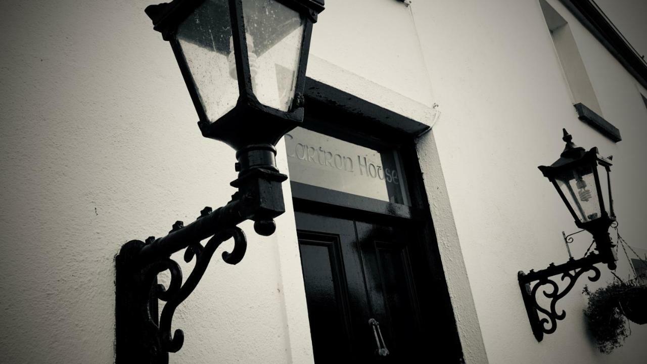 Cartron House Bed & Breakfast Ballinakill  Екстериор снимка