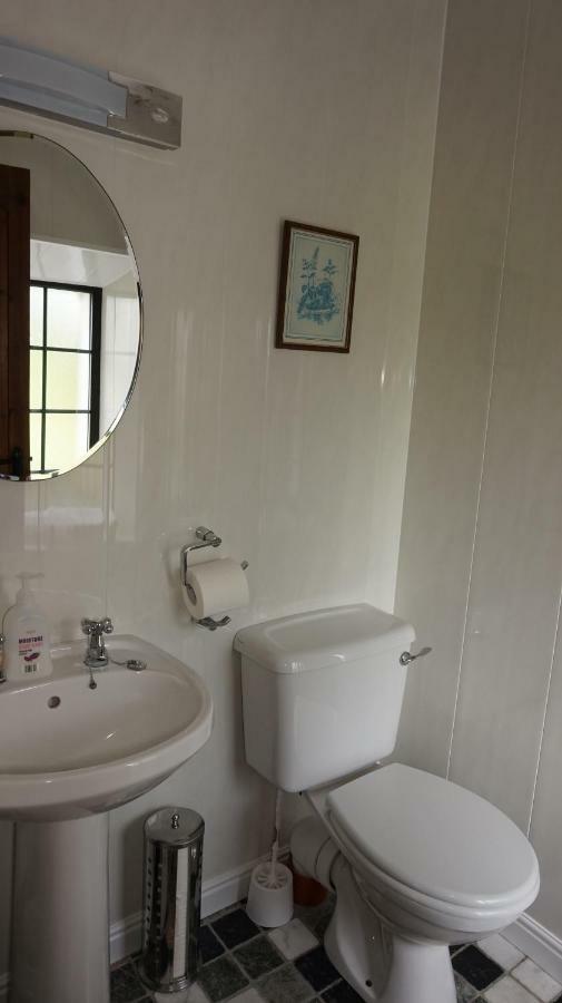 Cartron House Bed & Breakfast Ballinakill  Екстериор снимка